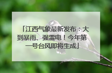 江西气象最新发布：大到暴雨、强雷电！今年第一号台风即将生成