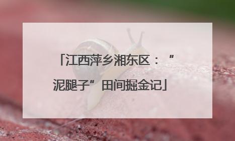 江西萍乡湘东区：“泥腿子”田间掘金记