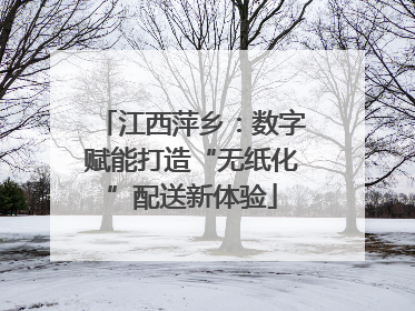 江西萍乡：数字赋能打造“无纸化”配送新体验