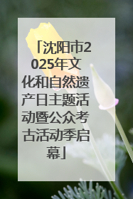 沈阳市2025年文化和自然遗产日主题活动暨公众考古活动季启幕