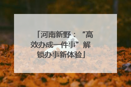 河南新野：“高效办成一件事”解锁办事新体验