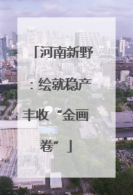 河南新野：绘就稳产丰收“金画卷”