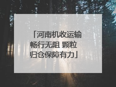 河南机收运输畅行无阻 颗粒归仓保障有力