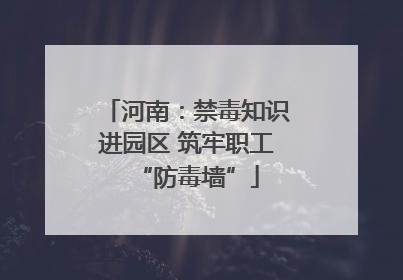 河南：禁毒知识进园区 筑牢职工“防毒墙”