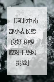河北中南部小麦长势良好 积极应对干热风挑战