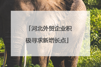 河北外贸企业积极寻求新增长点