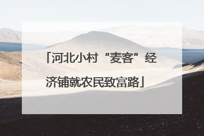 河北小村“麦客”经济铺就农民致富路
