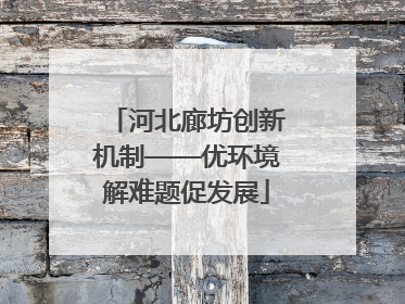 河北廊坊创新机制——优环境解难题促发展