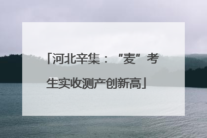 河北辛集：“麦”考生实收测产创新高