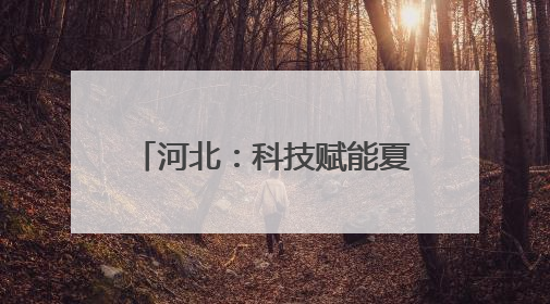 河北：科技赋能夏收夏种高效衔接