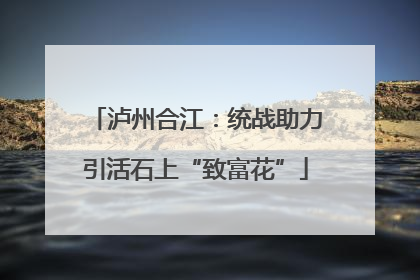 泸州合江：统战助力引活石上“致富花”