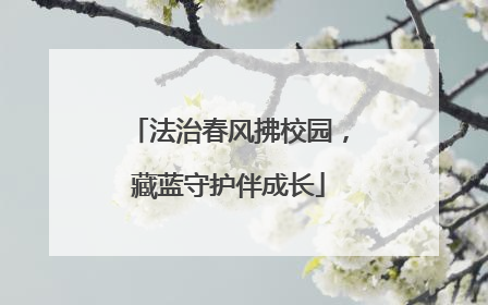 法治春风拂校园，藏蓝守护伴成长