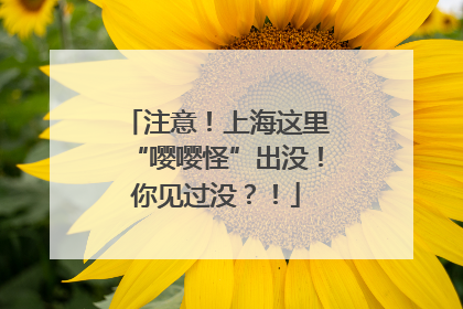 注意！上海这里“嘤嘤怪”出没！你见过没？！