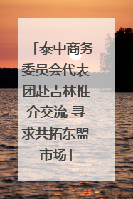 泰中商务委员会代表团赴吉林推介交流 寻求共拓东盟市场