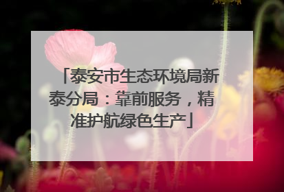 泰安市生态环境局新泰分局：靠前服务，精准护航绿色生产