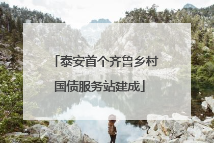 泰安首个齐鲁乡村国债服务站建成