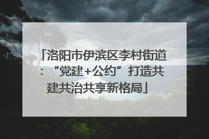 洛阳市伊滨区李村街道：“党建+公约”打造共建共治共享新格局