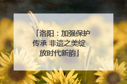 洛阳：加强保护传承 非遗之美绽放时代新韵