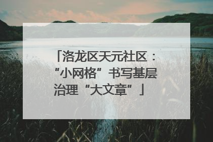 洛龙区天元社区：“小网格”书写基层治理“大文章”