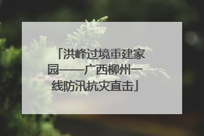 洪峰过境重建家园——广西柳州一线防汛抗灾直击