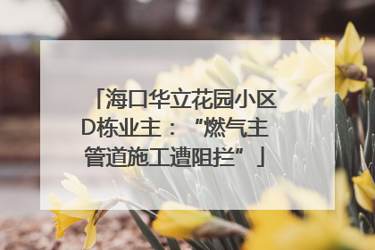 海口华立花园小区D栋业主：“燃气主管道施工遭阻拦”
