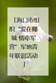 海口市组织“爱在椰城 情牵军营”军地青年联谊活动