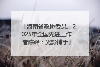 海南省政协委员、2025年全国先进工作者陈峰：光影捕手