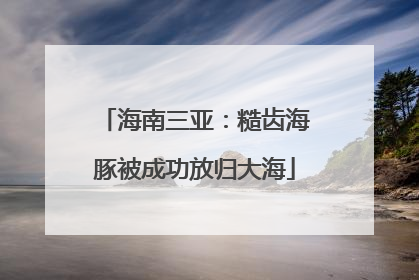 海南三亚：糙齿海豚被成功放归大海