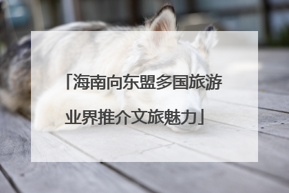 海南向东盟多国旅游业界推介文旅魅力
