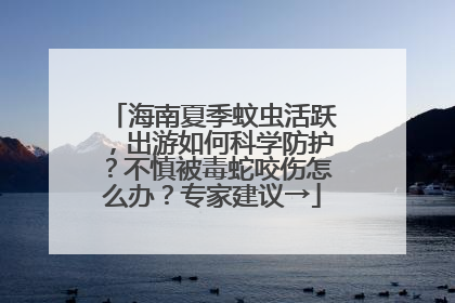海南夏季蚊虫活跃，出游如何科学防护？不慎被毒蛇咬伤怎么办？专家建议→