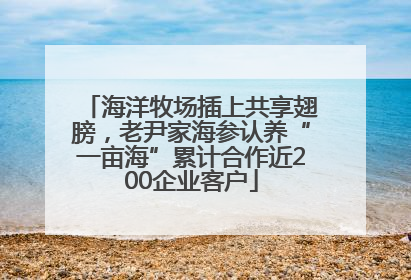 海洋牧场插上共享翅膀，老尹家海参认养“一亩海”累计合作近200企业客户