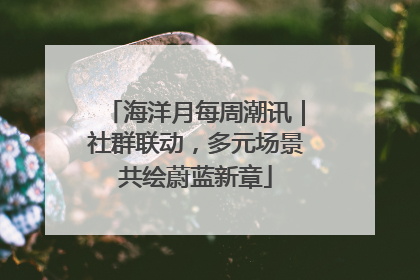 海洋月每周潮讯｜社群联动，多元场景共绘蔚蓝新章