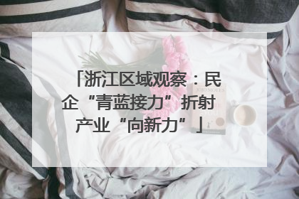 浙江区域观察：民企“青蓝接力”折射产业“向新力”