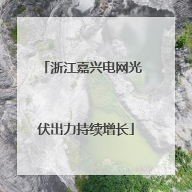 浙江嘉兴电网光伏出力持续增长