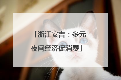 浙江安吉：多元夜间经济促消费