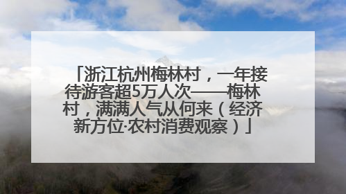 浙江杭州梅林村，一年接待游客超5万人次——梅林村，满满人气从何来（经济新方位·农村消费观察）