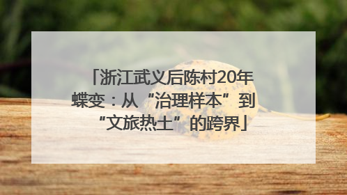 浙江武义后陈村20年蝶变：从“治理样本”到“文旅热土”的跨界