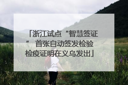 浙江试点“智慧签证” 首张自动签发检验检疫证明在义乌发出