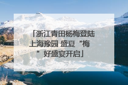 浙江青田杨梅登陆上海豫园 盛夏“梅”好盛宴开启