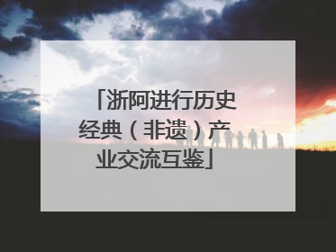 浙阿进行历史经典（非遗）产业交流互鉴