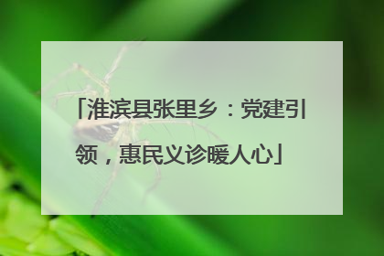 淮滨县张里乡：党建引领，惠民义诊暖人心