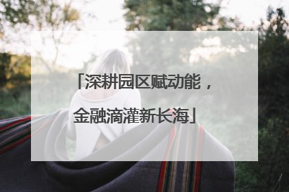 深耕园区赋动能，金融滴灌新长海