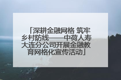 深耕金融网格 筑牢乡村防线——中荷人寿大连分公司开展金融教育网格化宣传活动