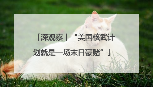 深观察丨“美国核武计划就是一场末日豪赌”