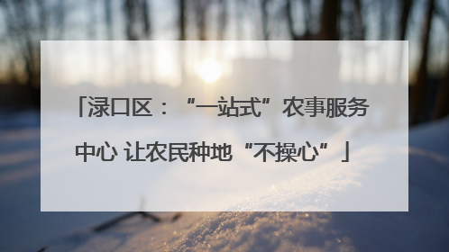 渌口区：“一站式”农事服务中心 让农民种地“不操心”