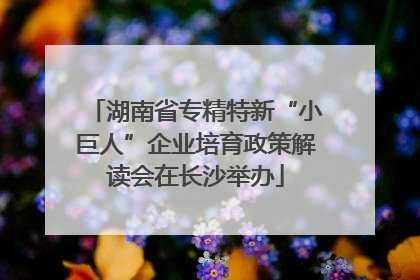 湖南省专精特新“小巨人”企业培育政策解读会在长沙举办