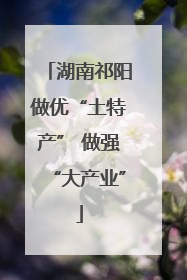 湖南祁阳做优“土特产” 做强“大产业”