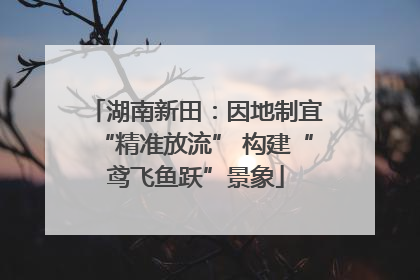 湖南新田：因地制宜“精准放流” 构建“鸢飞鱼跃”景象