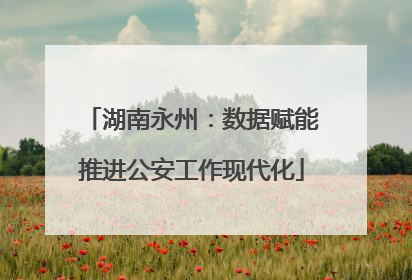 湖南永州：数据赋能推进公安工作现代化