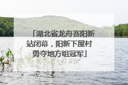 湖北省龙舟赛阳新站闭幕，阳新下屋村勇夺地方组冠军